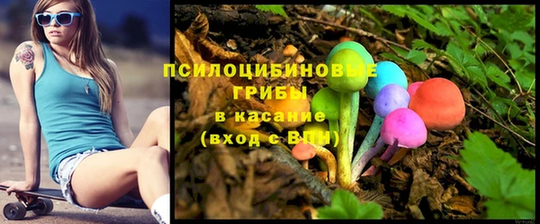 spice Бородино