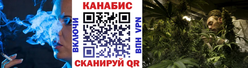 Канабис планчик  Купить где  Клин 